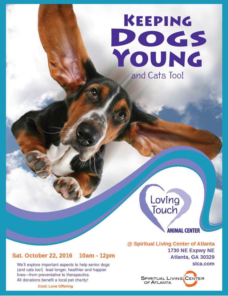 News and Events at Loving Touch Animal Center | Stone Mountain, Georgia News and Events at Loving Touch Animal Center | Stone Mountain, Georgia