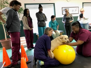 News and Events at Loving Touch Animal Center | Stone Mountain, Georgia News and Events at Loving Touch Animal Center | Stone Mountain, Georgia